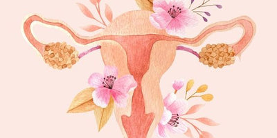 Comprendre l'Endométriose : Lutter contre les Douleurs Menstruelles