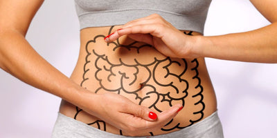 Prendre Soin de notre Santé Digestive !