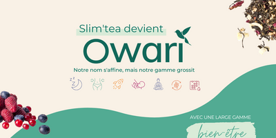 COMMENT EN EST-ON VENU À OWARI ?