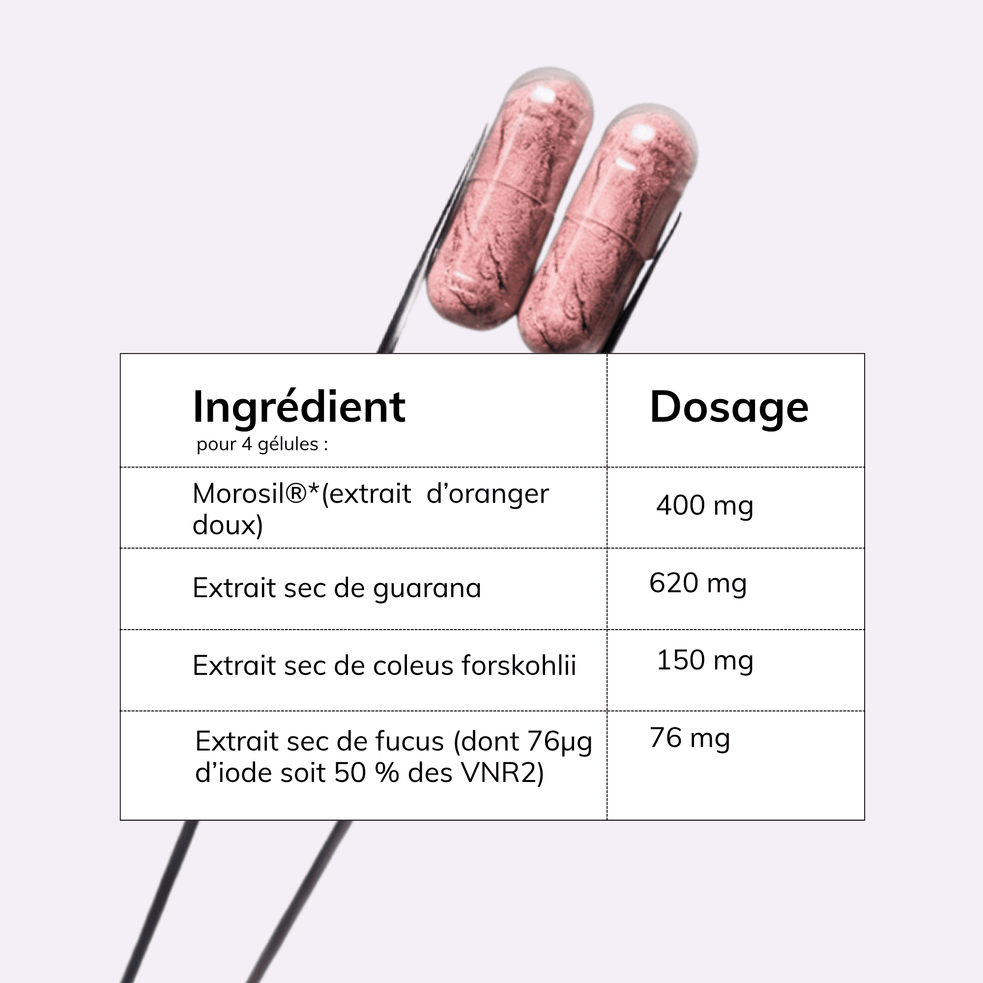 Brûleur de graisses Morosil®