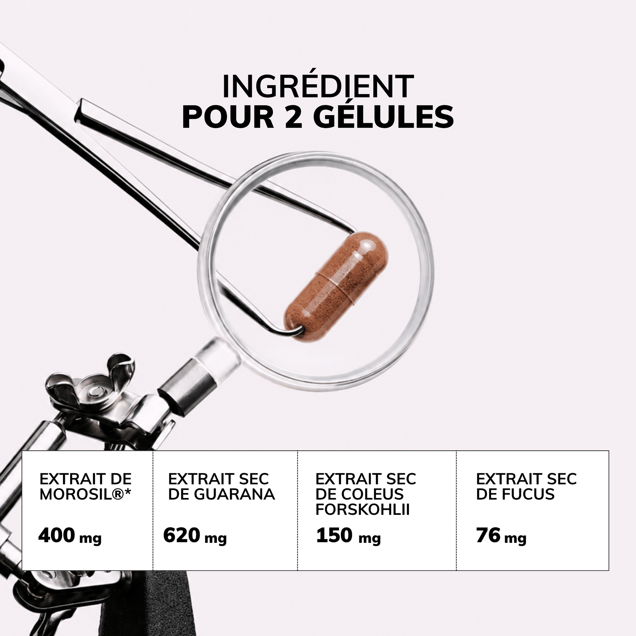 DUO PERTE DE POIDS: MOROSIL® et BERBEVIS®