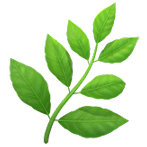 <b>Relance le transit</b> naturellement