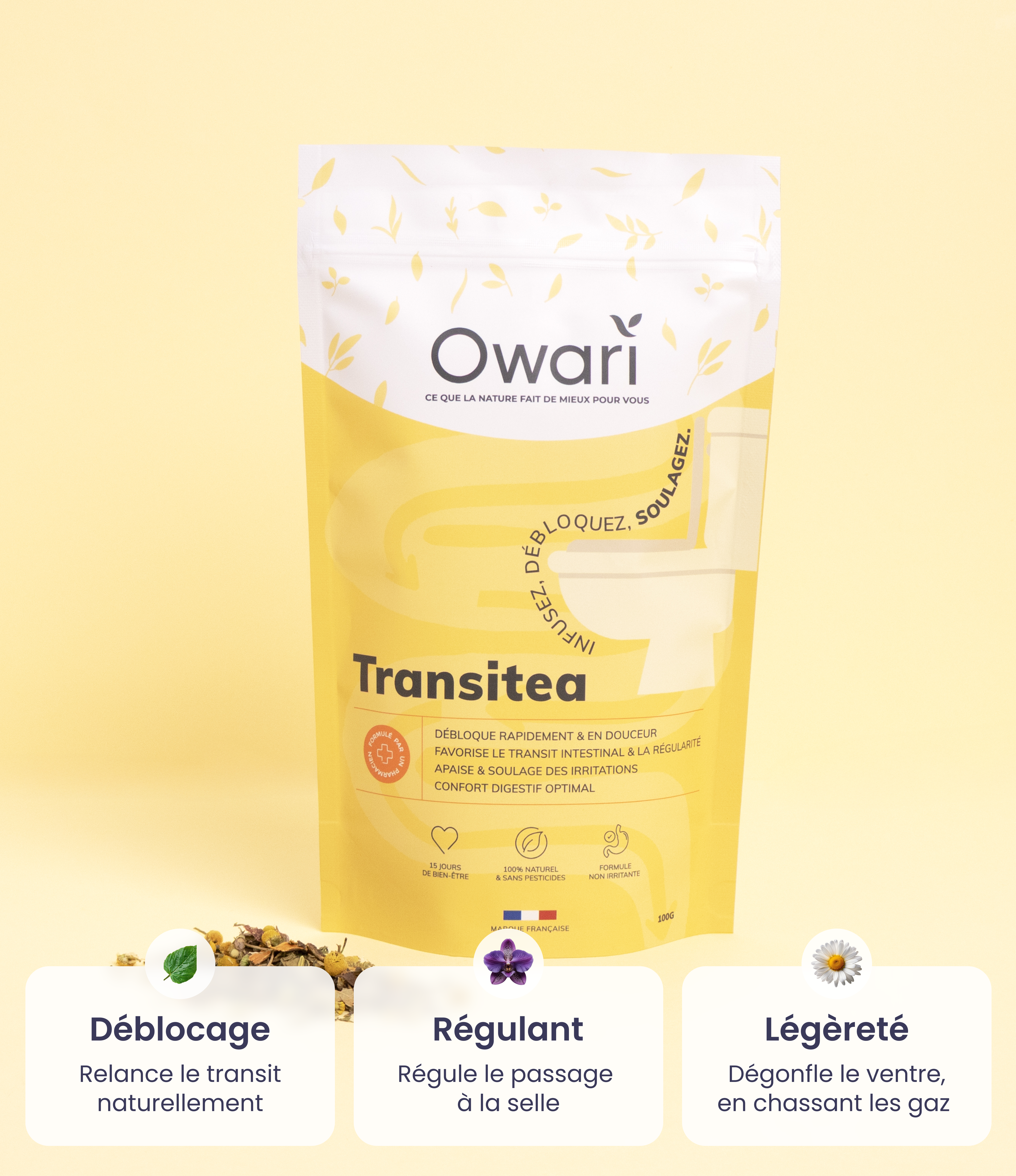 Transitea