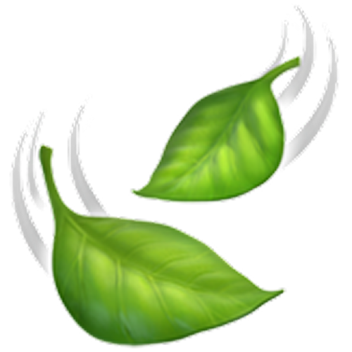 Idéal pour se sentir <b>plus légère</b>