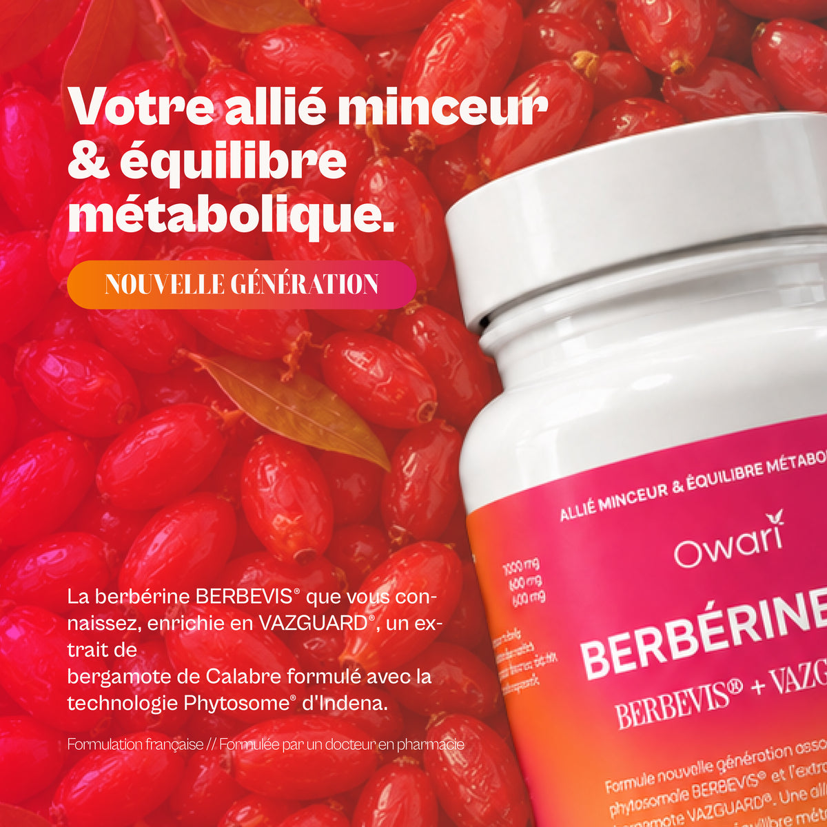 Berbine 2.0 : BERBEVIS® + VAZGUARD®