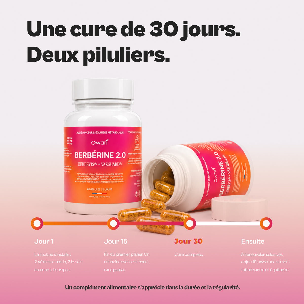 Berbine 2.0 : BERBEVIS® + VAZGUARD®