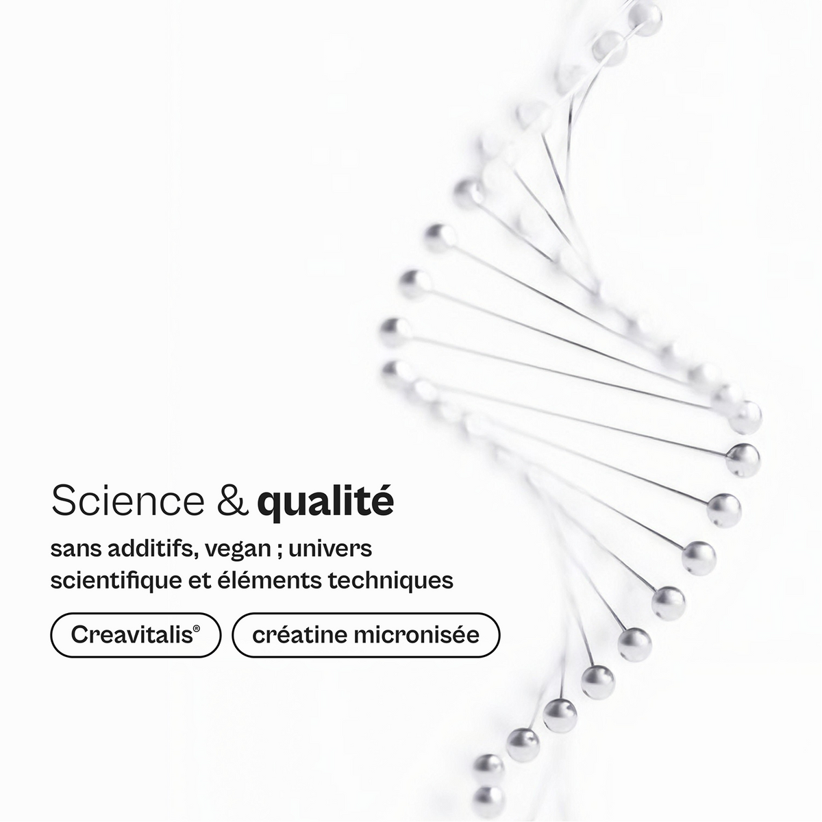 Créatine Monohydrate Creavitalis®