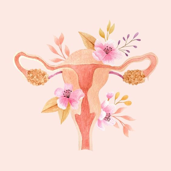 Comprendre l'Endométriose : Lutter contre les Douleurs Menstruelles