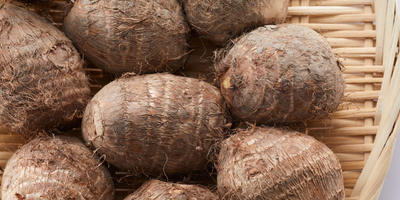 Le konjac : le secret coupe-faim naturel utilisé dans notre modérateur d'appétit Owari