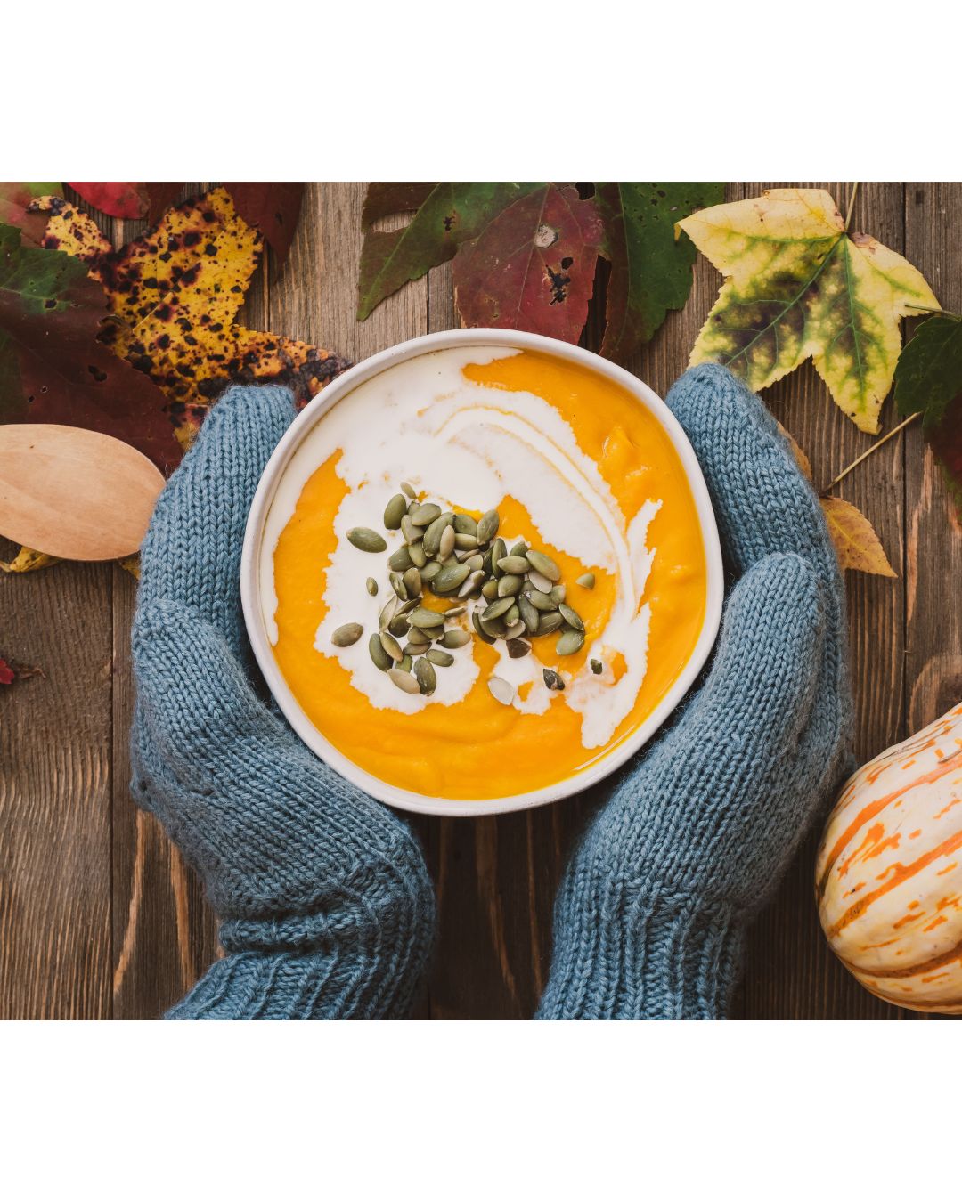 Des plats réconfortants sans culpabilité : allier plaisir et soutien naturel avec Owari