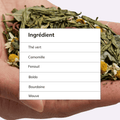 Transitea
