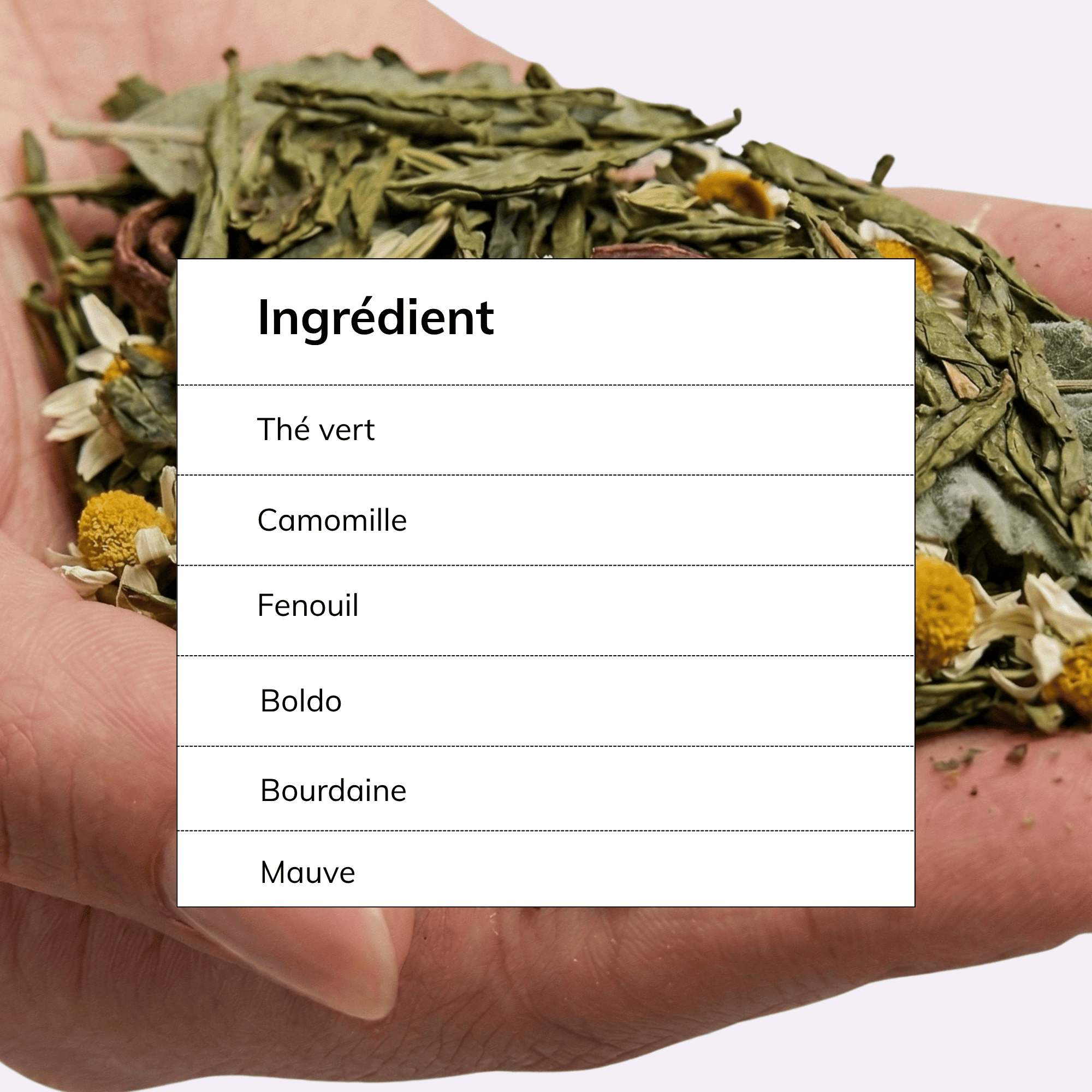 Transitea