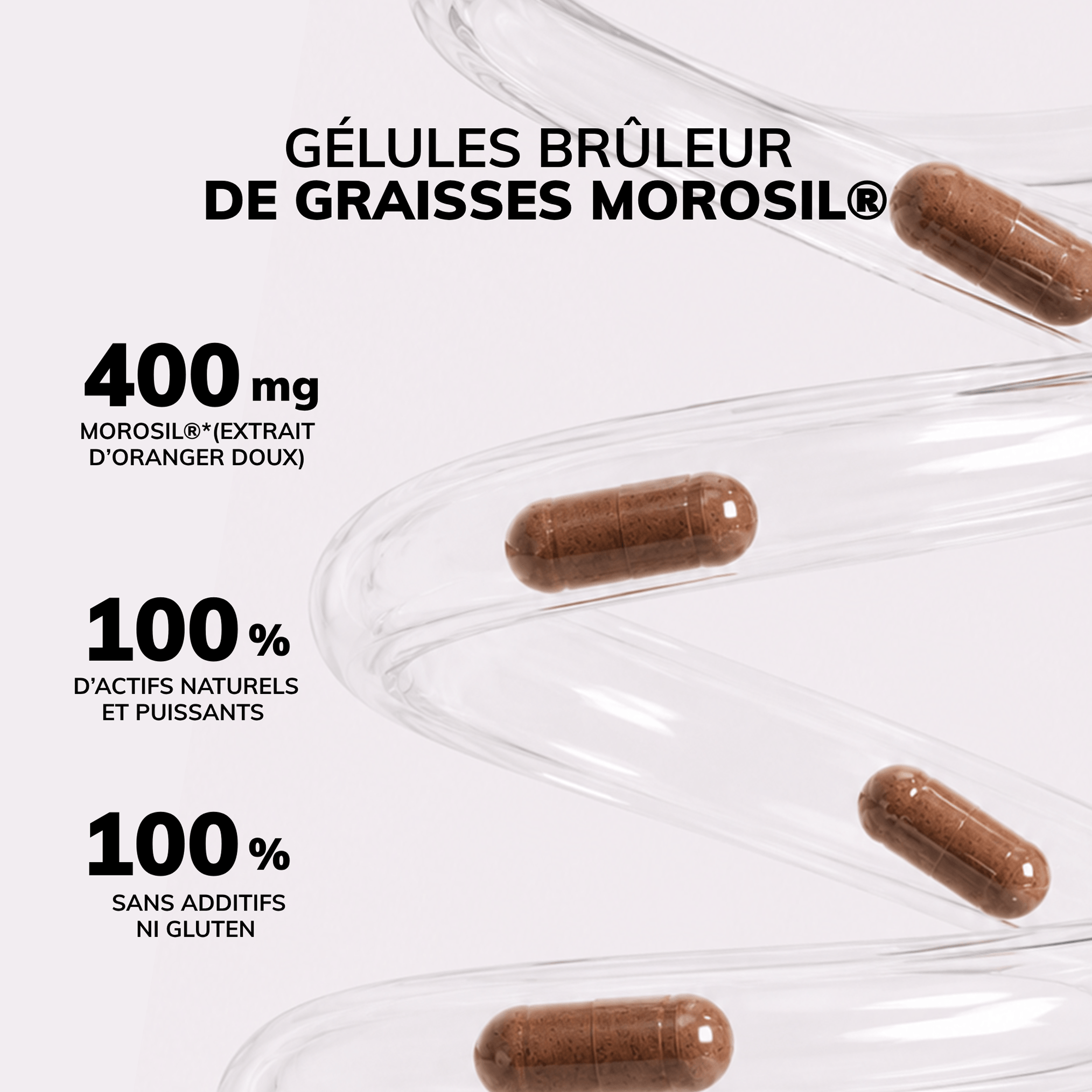 DUO PERTE DE POIDS: MOROSIL® et BERBEVIS®