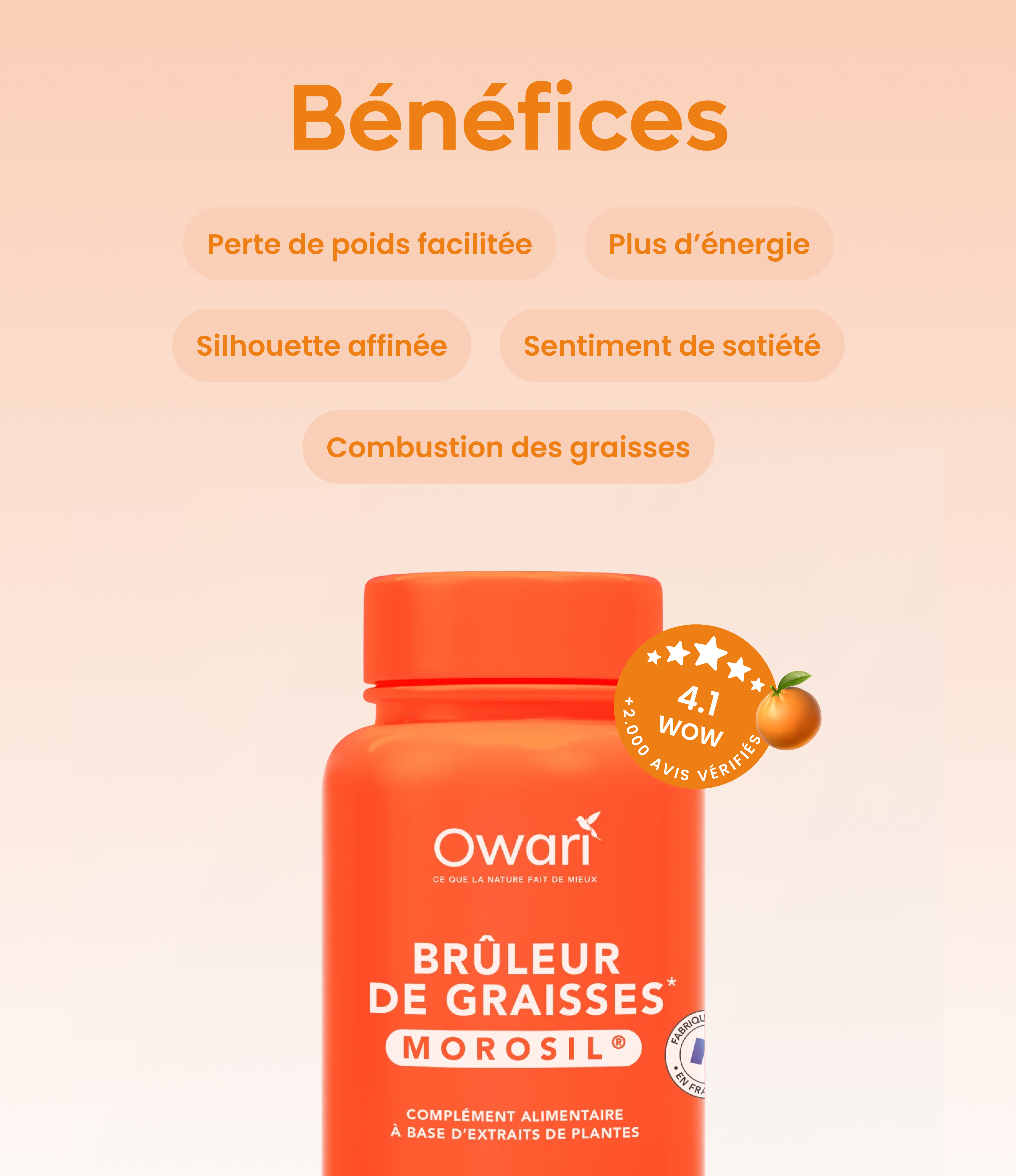 Brûleur de graisses Morosil®