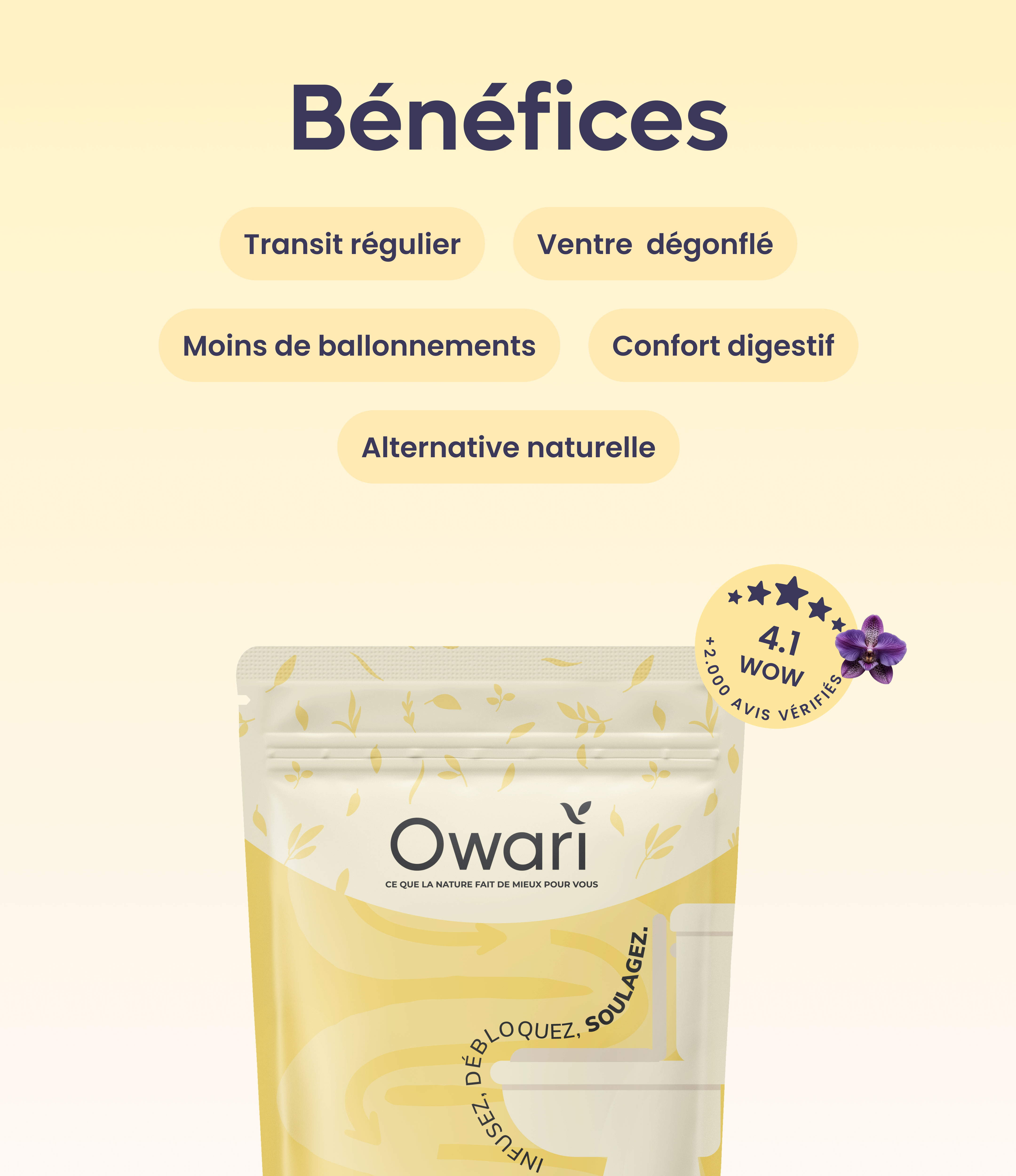 Transitea