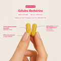 Berbérine BERBEVIS®