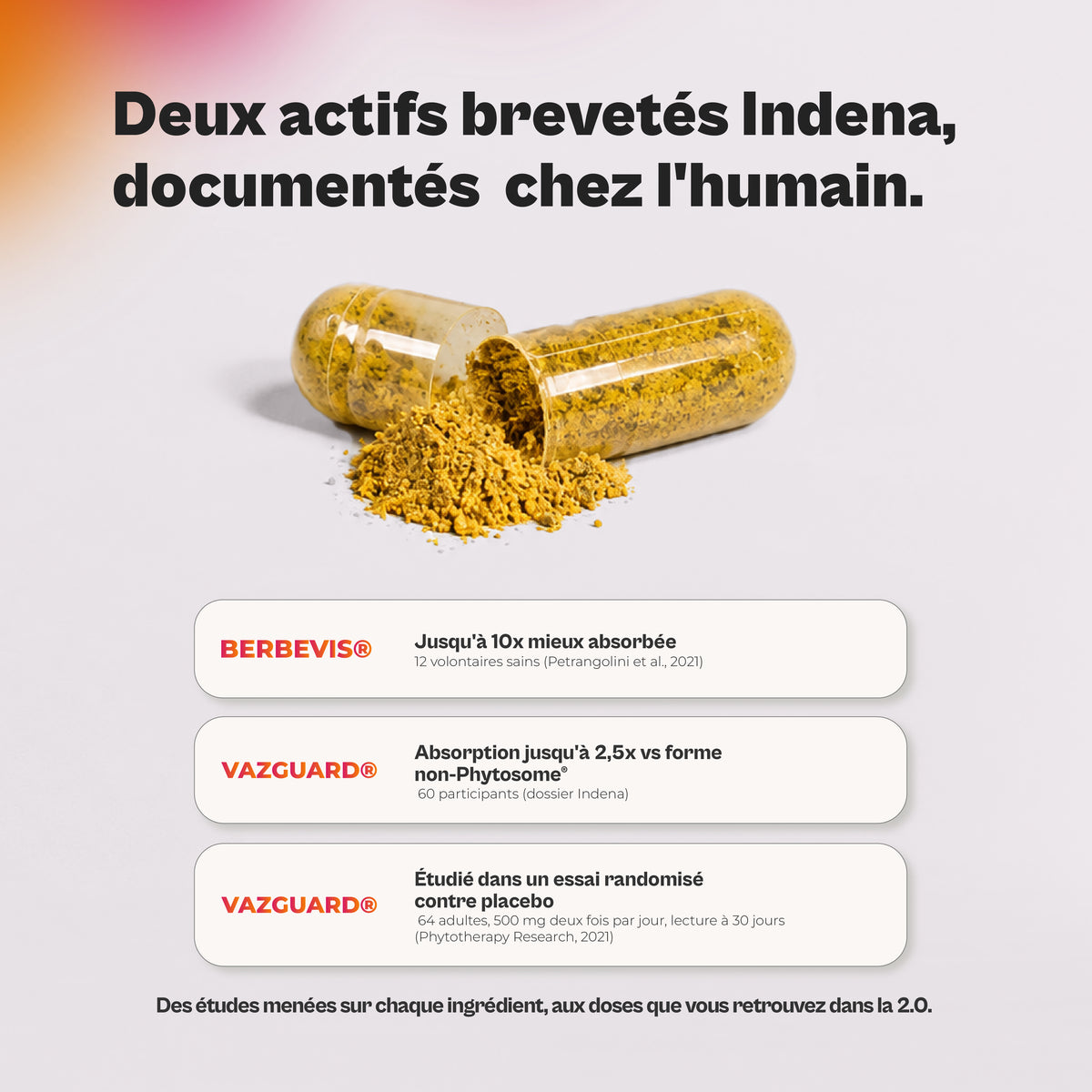Berbine 2.0 : BERBEVIS® + VAZGUARD®