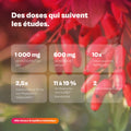 Berbine 2.0 : BERBEVIS® + VAZGUARD®