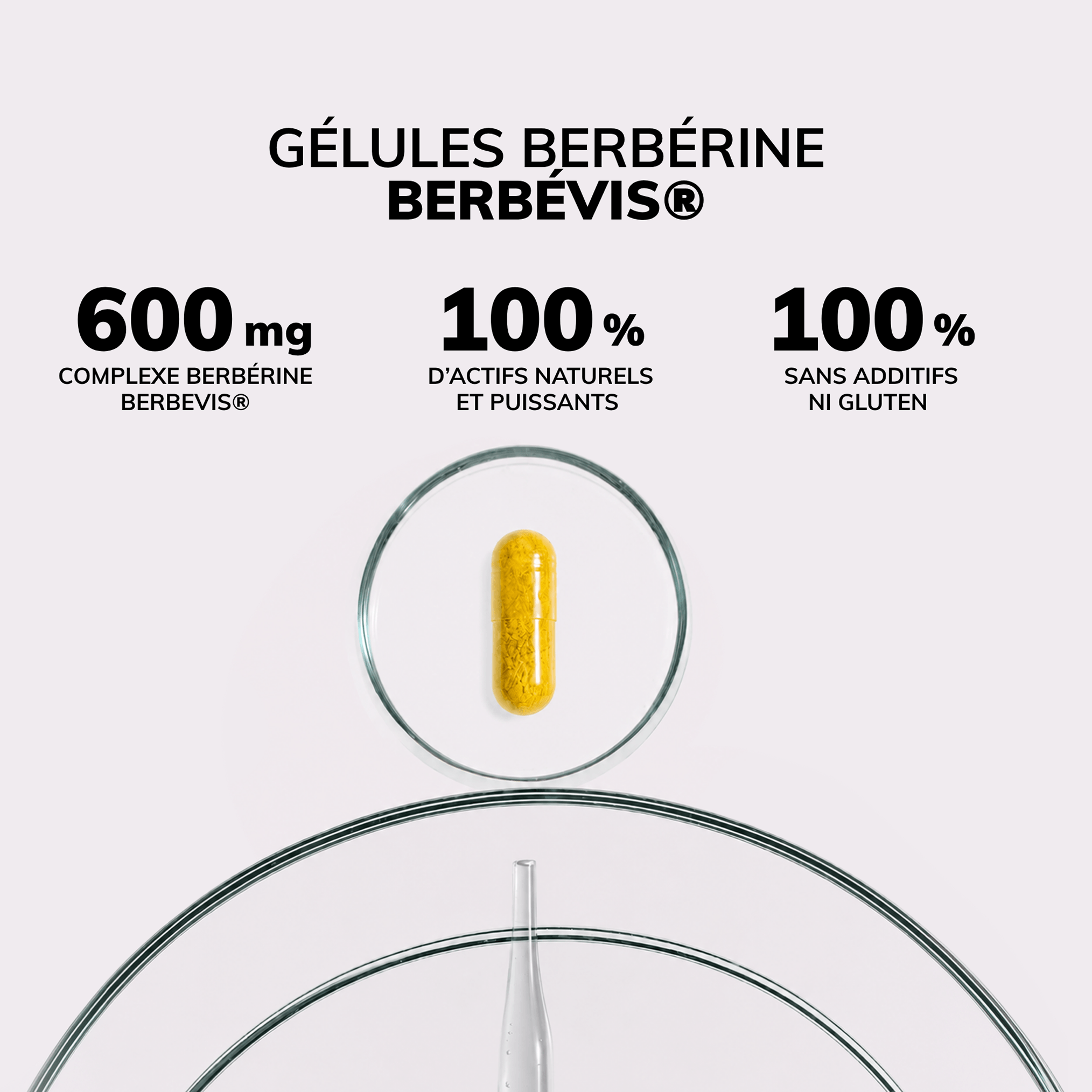 DUO PERTE DE POIDS: MOROSIL® et BERBEVIS®