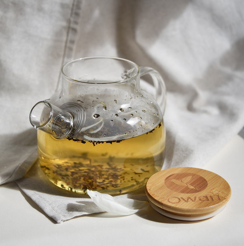 Théière japonaise en verre avec filtre intégré - Slim Tea